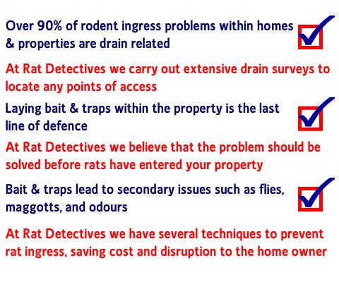 how do rats enter your property